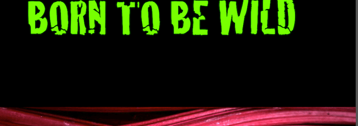 Born to be wild - schafft Raum für fröhliches Problemlösen