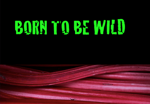 Born to be wild, Mut-Tanke